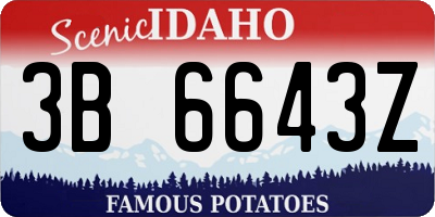 ID license plate 3B6643Z