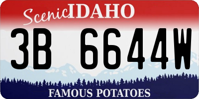 ID license plate 3B6644W