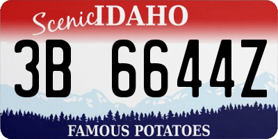 ID license plate 3B6644Z