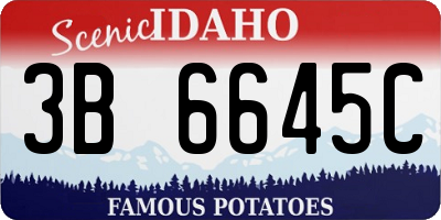 ID license plate 3B6645C