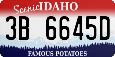 ID license plate 3B6645D