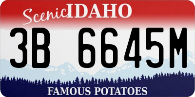 ID license plate 3B6645M