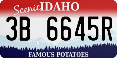ID license plate 3B6645R