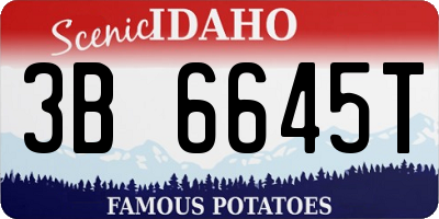 ID license plate 3B6645T