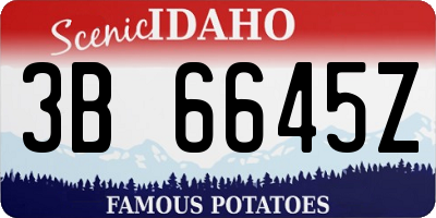 ID license plate 3B6645Z