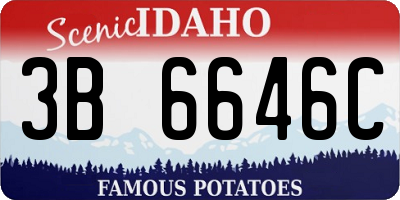 ID license plate 3B6646C