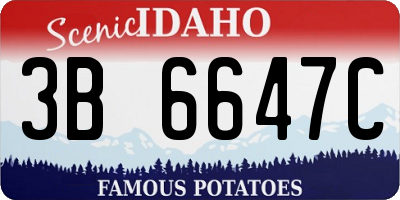 ID license plate 3B6647C