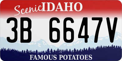 ID license plate 3B6647V
