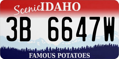 ID license plate 3B6647W