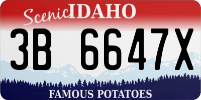 ID license plate 3B6647X