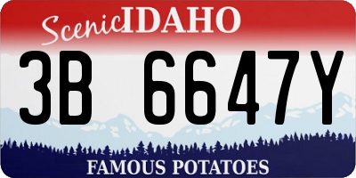 ID license plate 3B6647Y