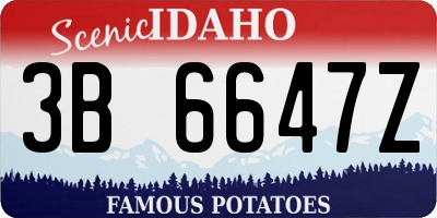 ID license plate 3B6647Z