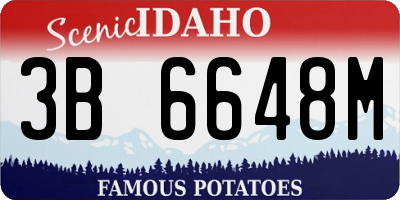 ID license plate 3B6648M