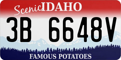 ID license plate 3B6648V