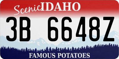 ID license plate 3B6648Z