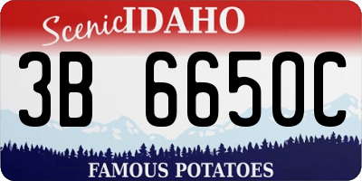 ID license plate 3B6650C