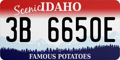 ID license plate 3B6650E