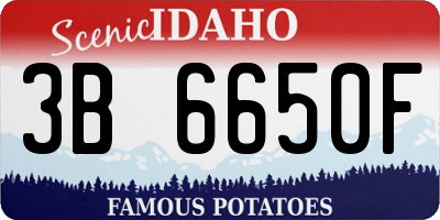 ID license plate 3B6650F