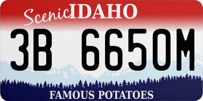 ID license plate 3B6650M