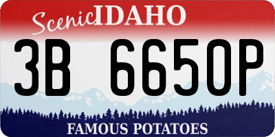 ID license plate 3B6650P