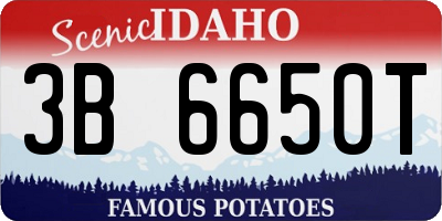 ID license plate 3B6650T