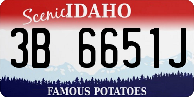 ID license plate 3B6651J