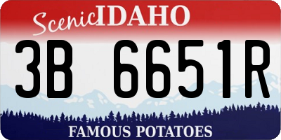 ID license plate 3B6651R