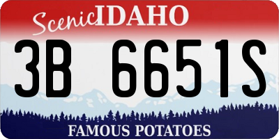ID license plate 3B6651S