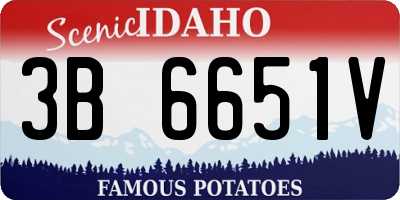 ID license plate 3B6651V
