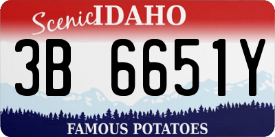 ID license plate 3B6651Y