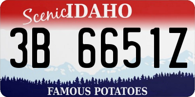 ID license plate 3B6651Z