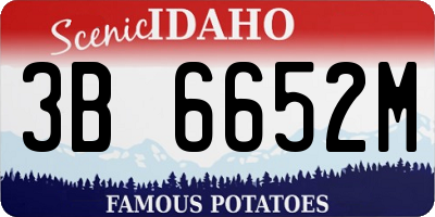ID license plate 3B6652M