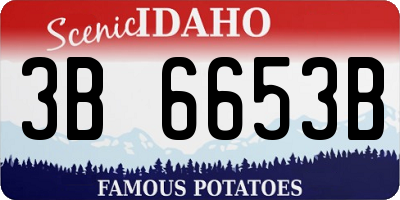 ID license plate 3B6653B