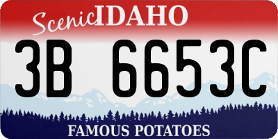 ID license plate 3B6653C