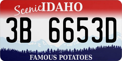 ID license plate 3B6653D