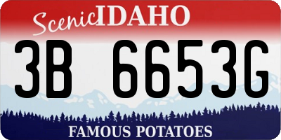 ID license plate 3B6653G