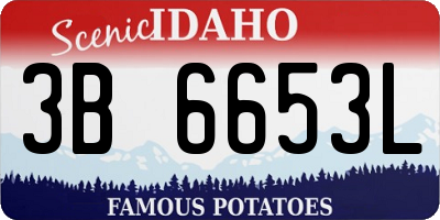 ID license plate 3B6653L