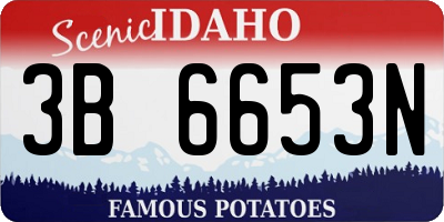 ID license plate 3B6653N