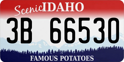ID license plate 3B6653O