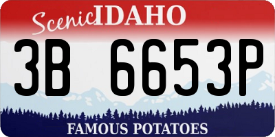 ID license plate 3B6653P