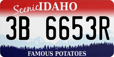 ID license plate 3B6653R