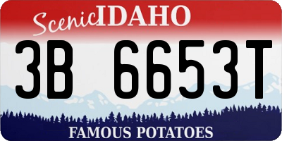 ID license plate 3B6653T