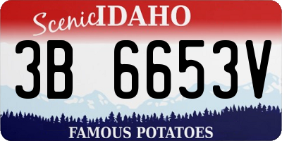 ID license plate 3B6653V