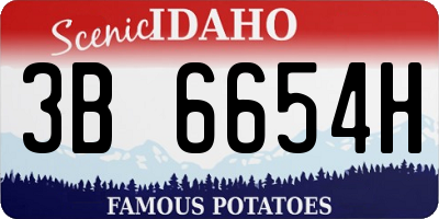 ID license plate 3B6654H