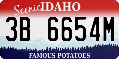 ID license plate 3B6654M