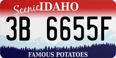 ID license plate 3B6655F