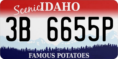 ID license plate 3B6655P