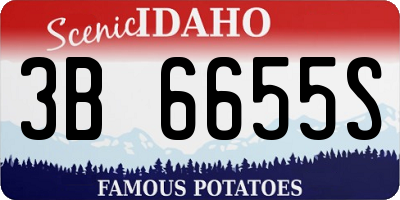ID license plate 3B6655S