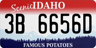 ID license plate 3B6656D