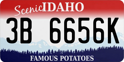 ID license plate 3B6656K